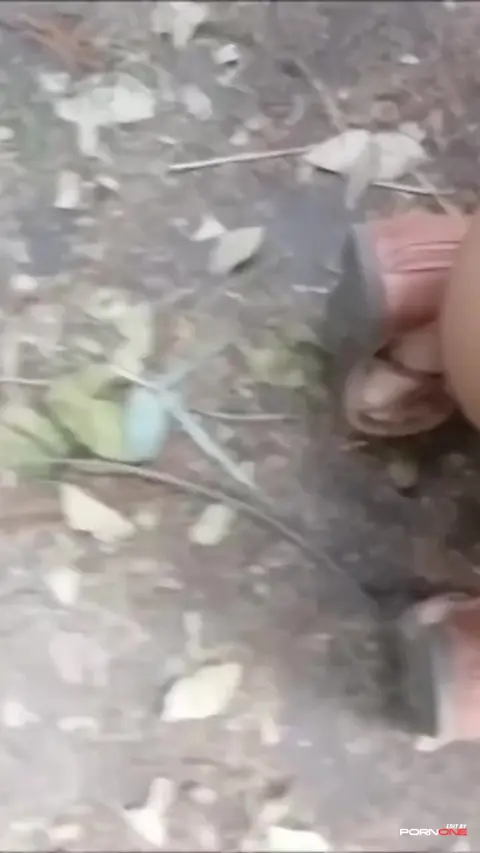 Public Exposure in Mexico: A Daring Encounter