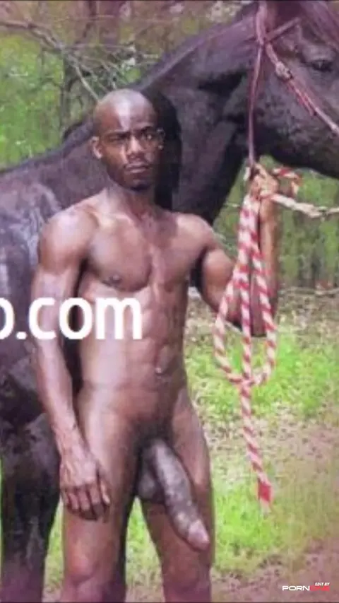 Easter Sunday Funday Adult Video
