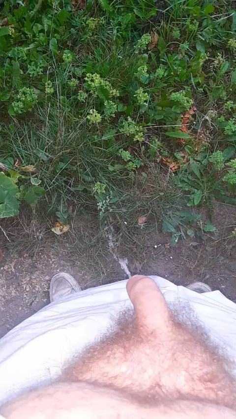 Outdoor Passion: Enjoying Sex in Nature