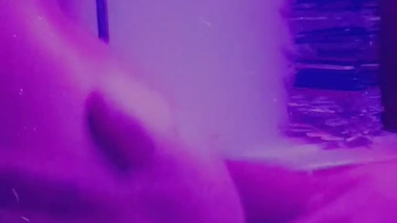 Rough Sex Encounter Gets Too Intense