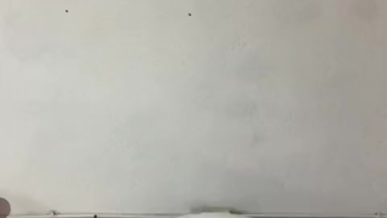Rasta Guy Masturbates on Camera with Weed
