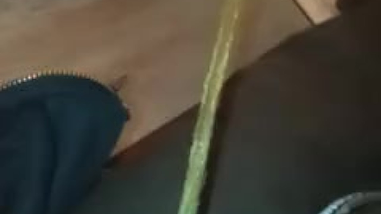Hookup Anticipation: She Finally Gives In