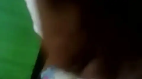 Colombian Solo Performance in Private