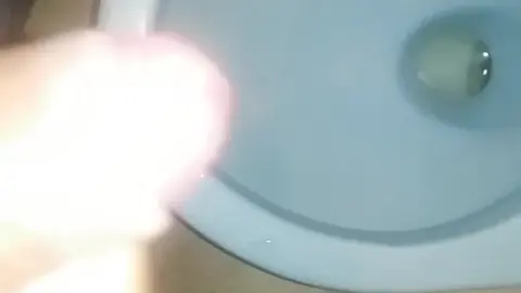 Public Bathroom Masturbation Caught on Camera
