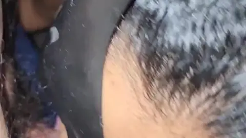 Sexy Collegiala Gives Intense Blowjob Action