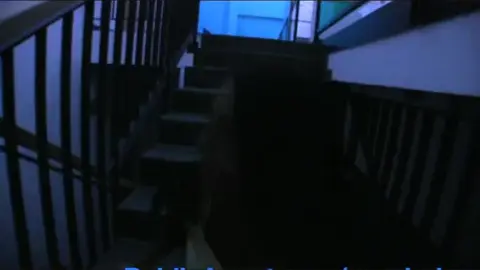 Public Agent Encounter with a Stunning Black Babe