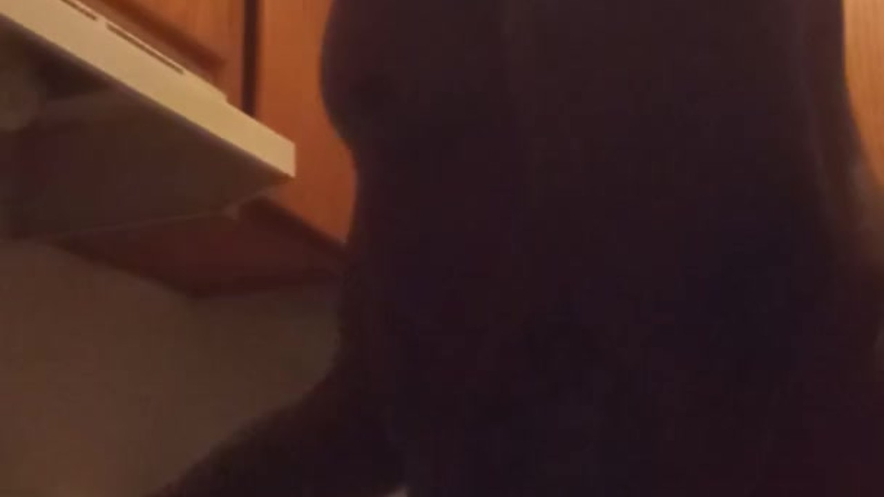 Sensual Cooking: Naked Chef in Action