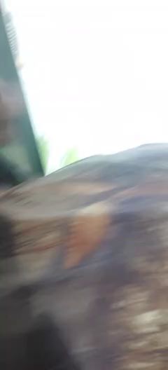 Intense Passion Unfolds in Bus Fantasy Scene