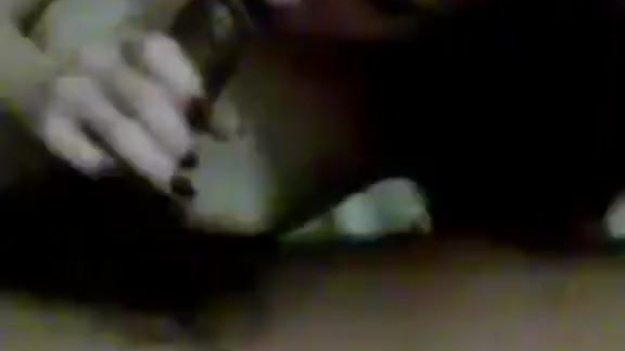 Mary's Intimate Blowjob Experience