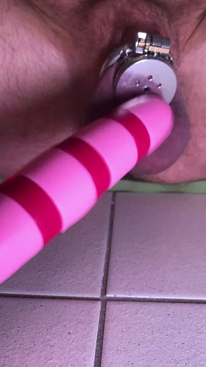 Chastity Cage Orgasm Denial with Penis Plug Tease