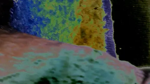BBC Action Unfolds in This Short Clip