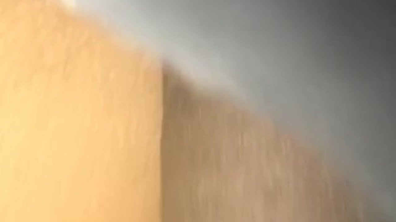 Big Dick Videos for Adult Entertainment