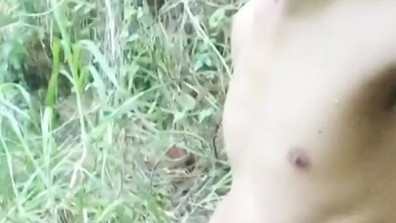 Pinoy One with Nature Jerk Off