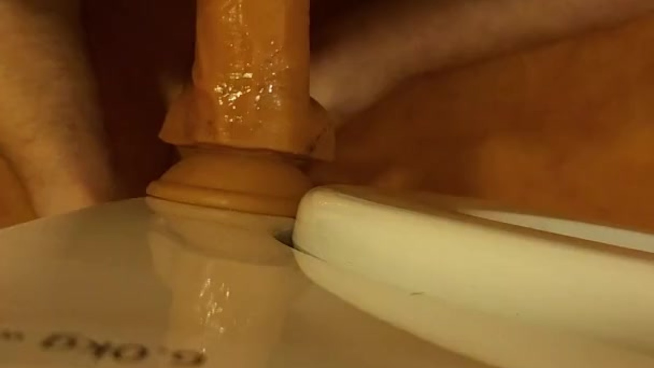 Doggy Style Fun with Dildo Riding Action