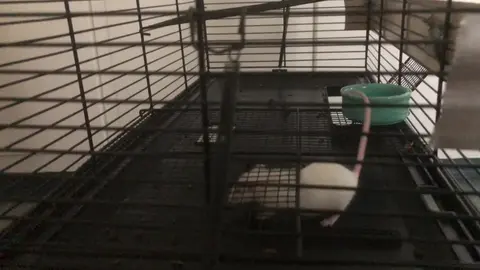 Cute Chunky Fluff Shared with the Community
