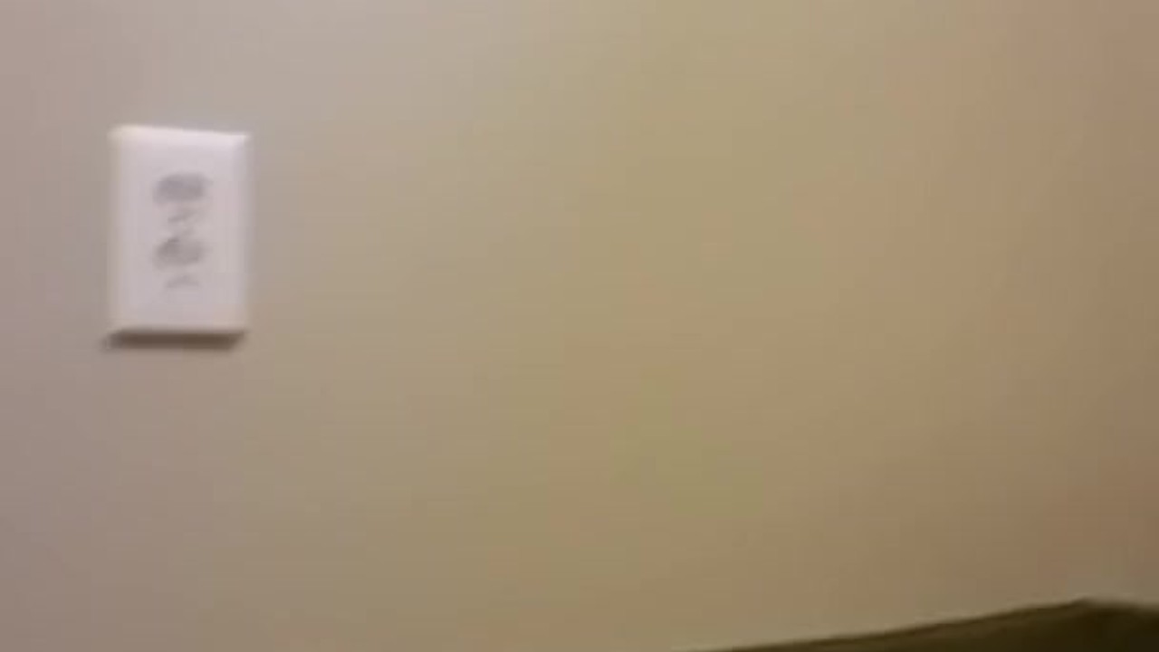 Pissing on Rugs: A Quick Fetish Exploration