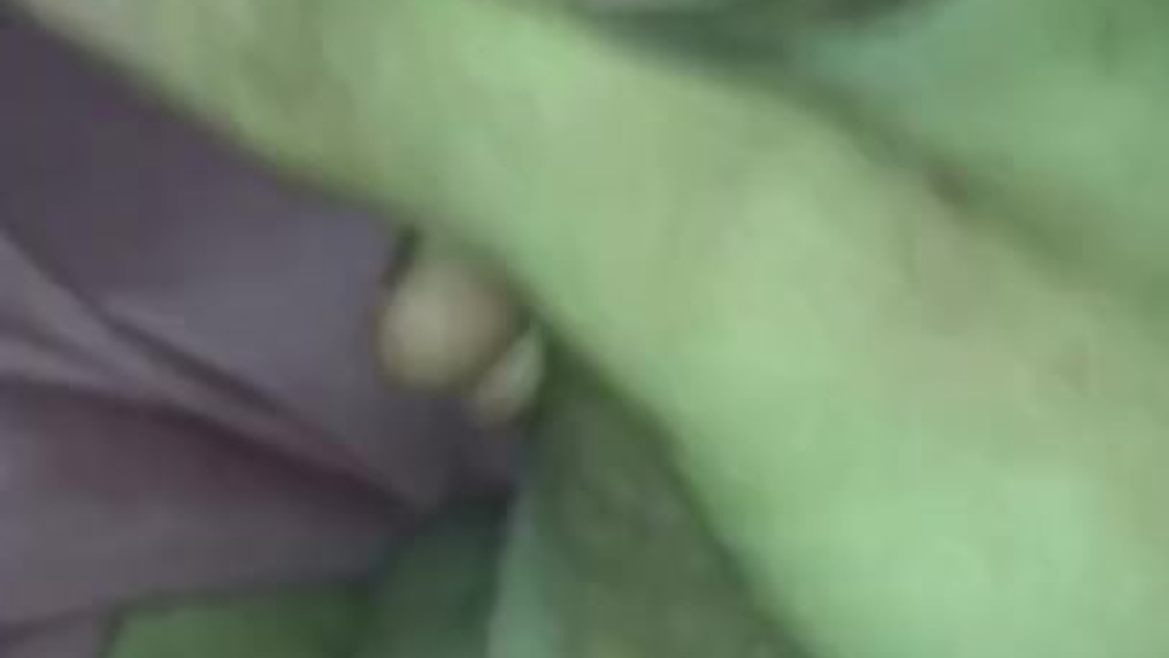 Solo Male Action: Jacking Off Scenes Uncovered