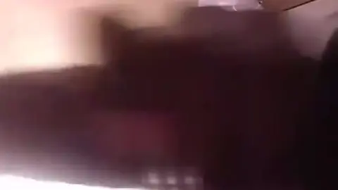 Big Black Cock Oil Jacking Scene Uncovered