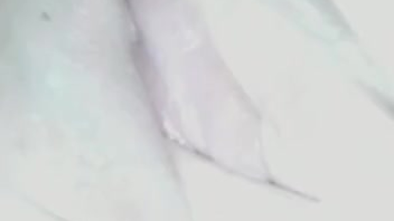 Shower Fun: Steamy Moments Caught on Camera