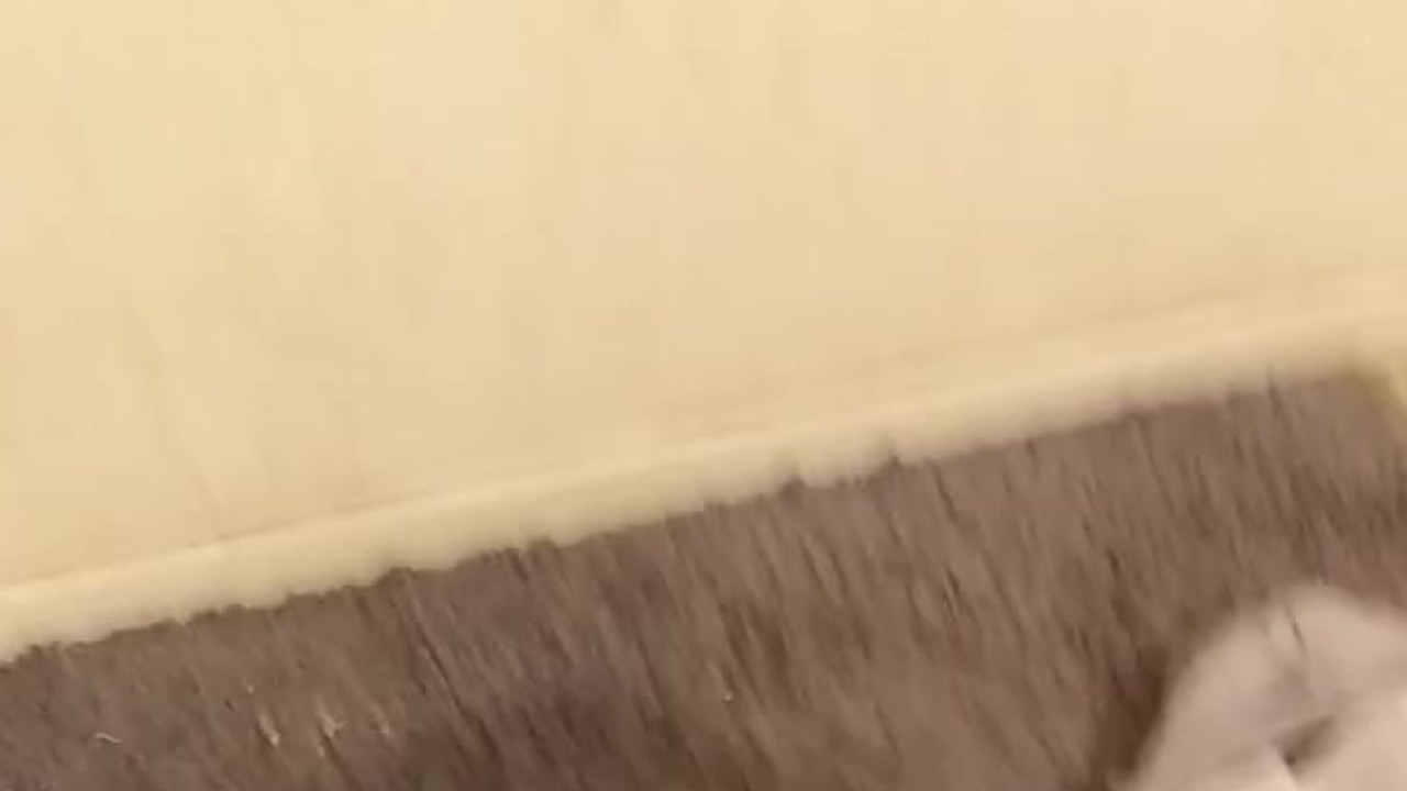 Cumshot Action with a Surprising Twist