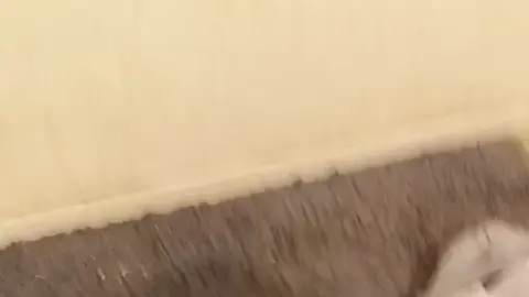 Cumshot Action with a Surprising Twist