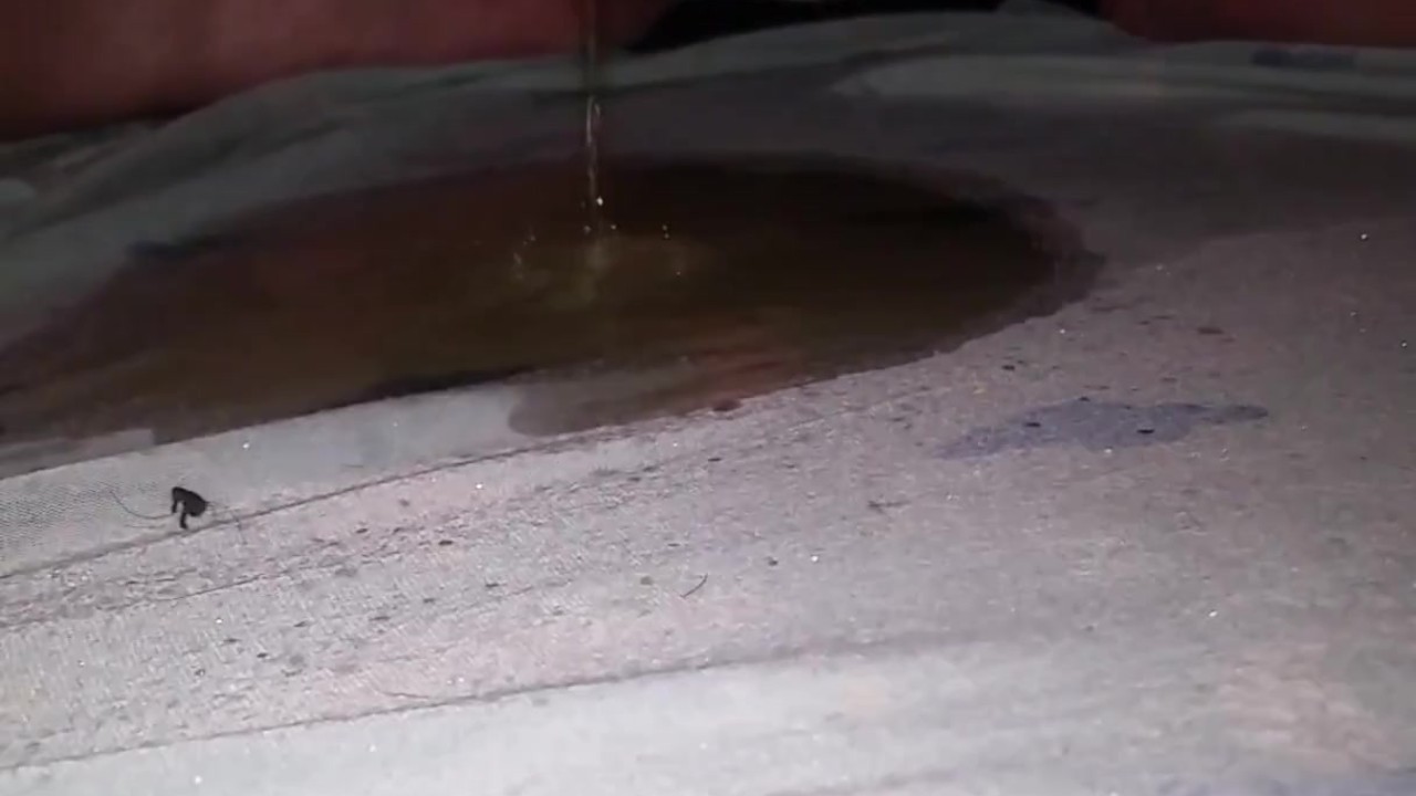 Golden Shower Fun in Piss Puddle Video