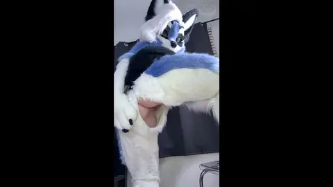 Furry Girl Tease: Zipper Reveal and Seductive Spanking