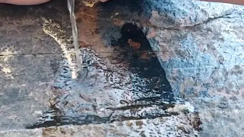Public Pissing MILF in Bikini Exposed