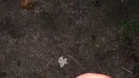 Cum Shot Outside: Quick Public Climax