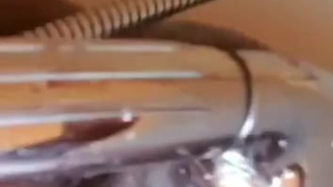 Showerhead Solo Pleasure Experience