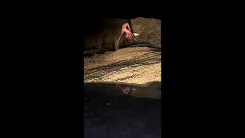 Intense Dirt Action: Hardcore Fucking & Pissing