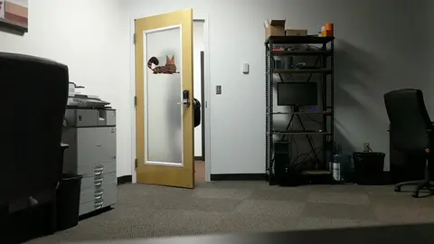 Nude Office Escape in 17 Seconds