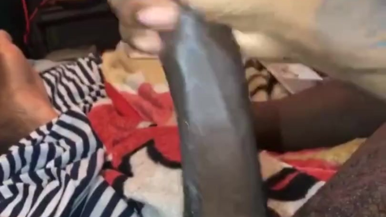 Solo Male Masturbation with Adult Entertainment