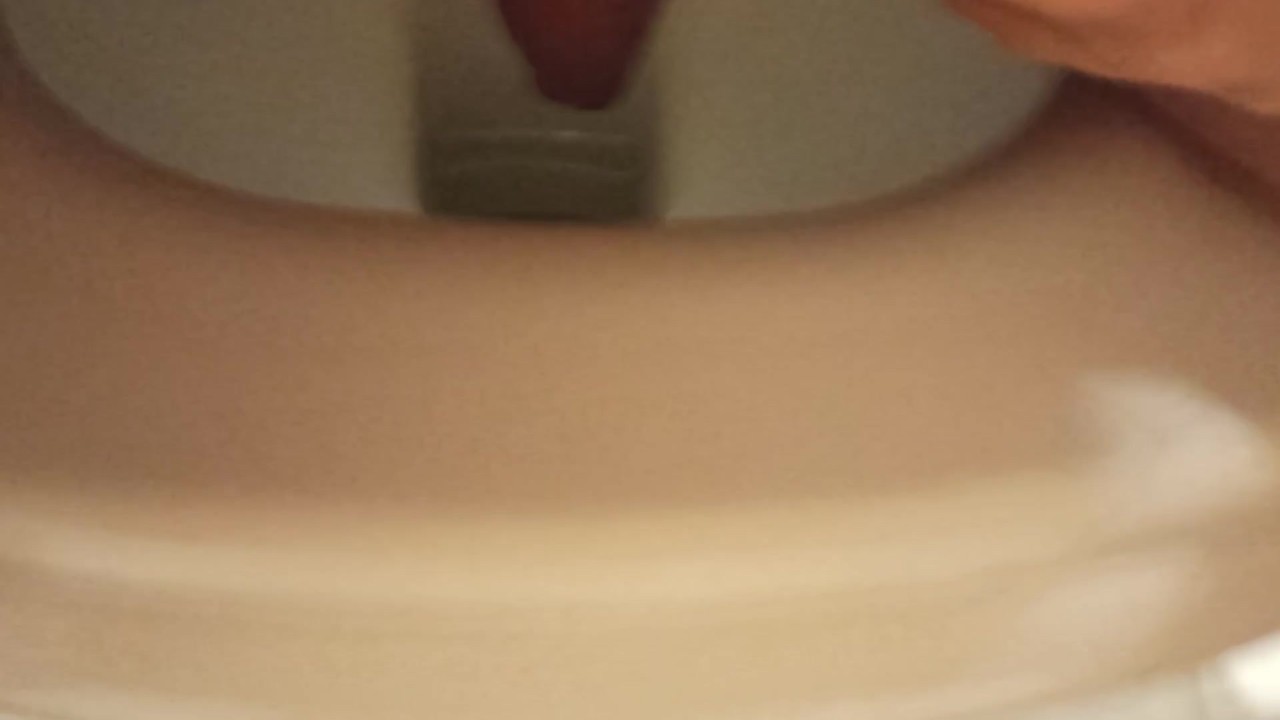 Morning Toilet Routine Caught on Camera