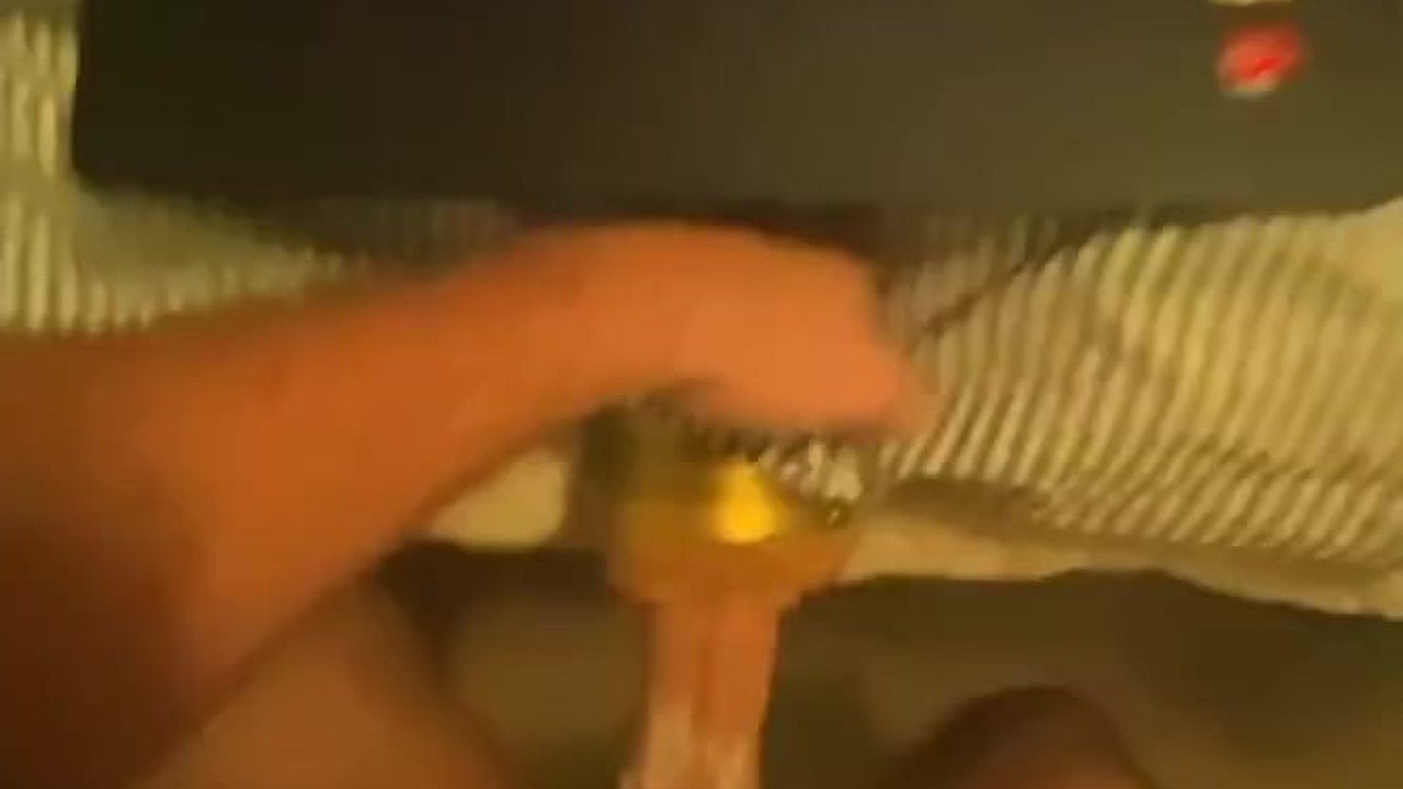 Fleshlight Creampie Fantasy Unleashed