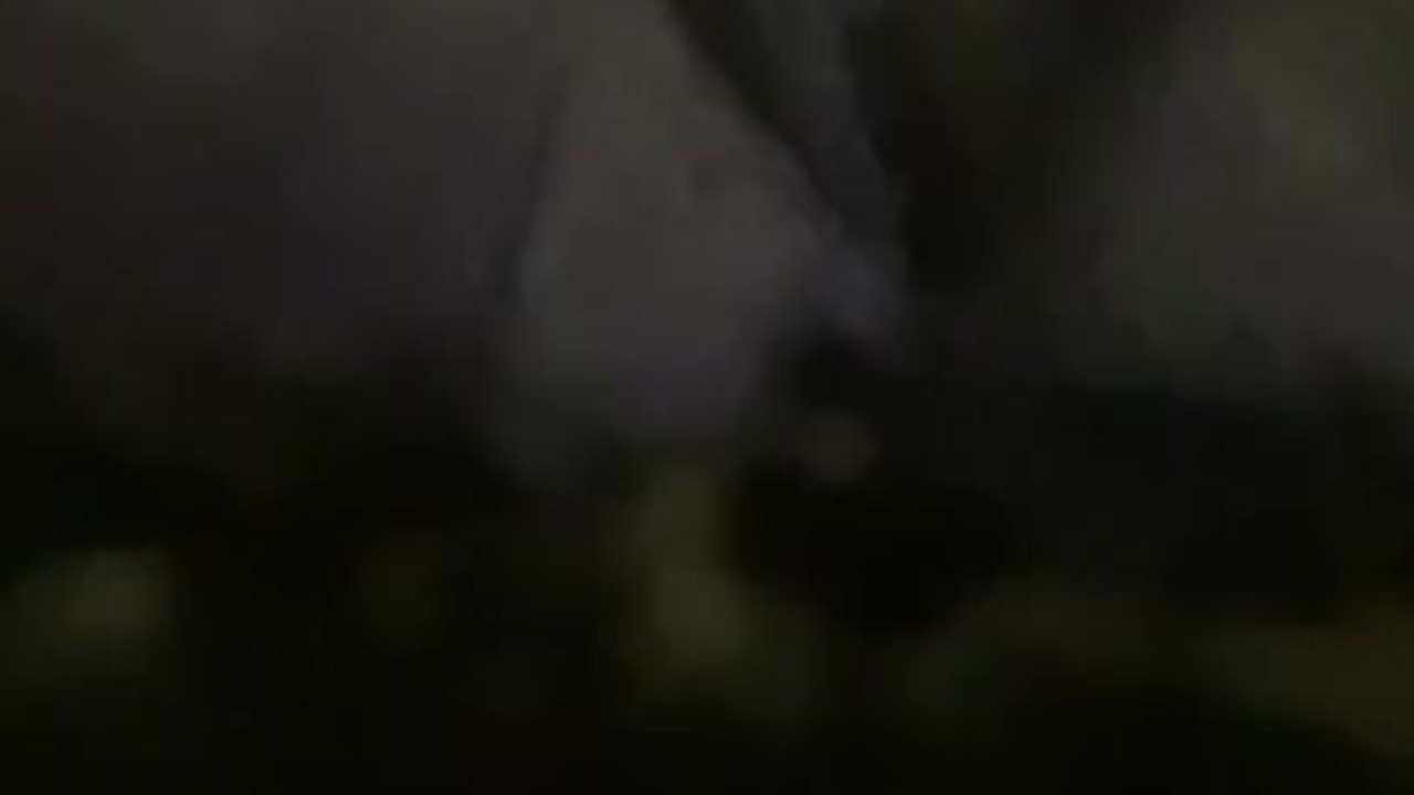 Cumming in Secret: Sneaky Pleasures Revealed