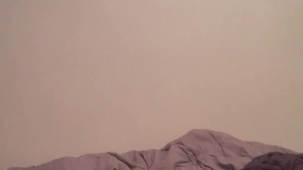 Pussy Playtime: Solo Fun with My Feline Friend