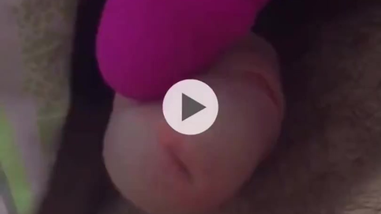 cumming from wife's toy
