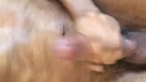 Masturbation Solo: A Moment of Intimacy Caught on Camera