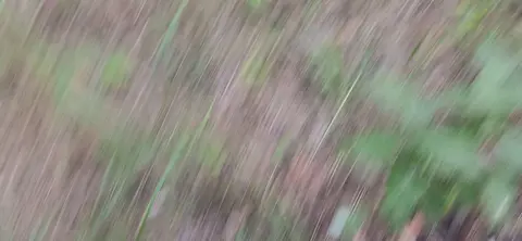 Quick creampie in mouth during forest lesbian encounter with talking and spit