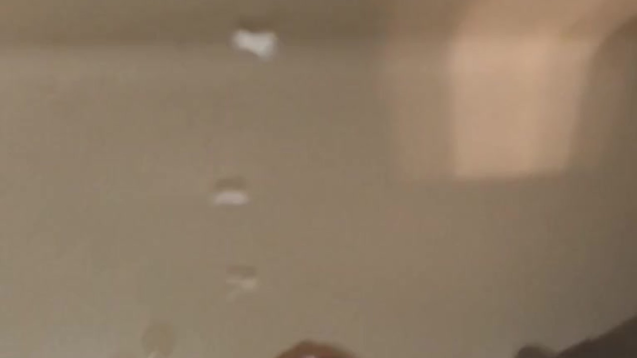 Private Bathroom Moment Ends with Cumshot