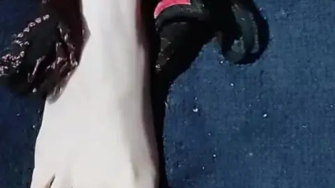 Sexy Thong and Socks Foot Fetish Fun