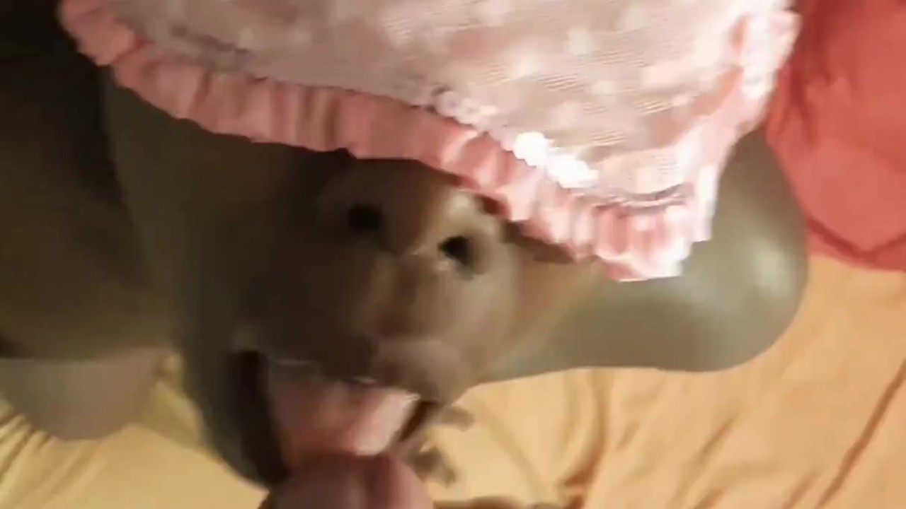 Jack se fait sucer - grosse éjaculation faciale - Sally adore ça !!!