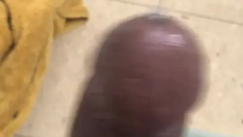 Intense Cum Shot Action Unfolds in 20 Seconds
