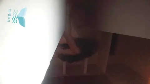 Student Gives Amazing Blowjob & Ride – Intense Hardcore Scene